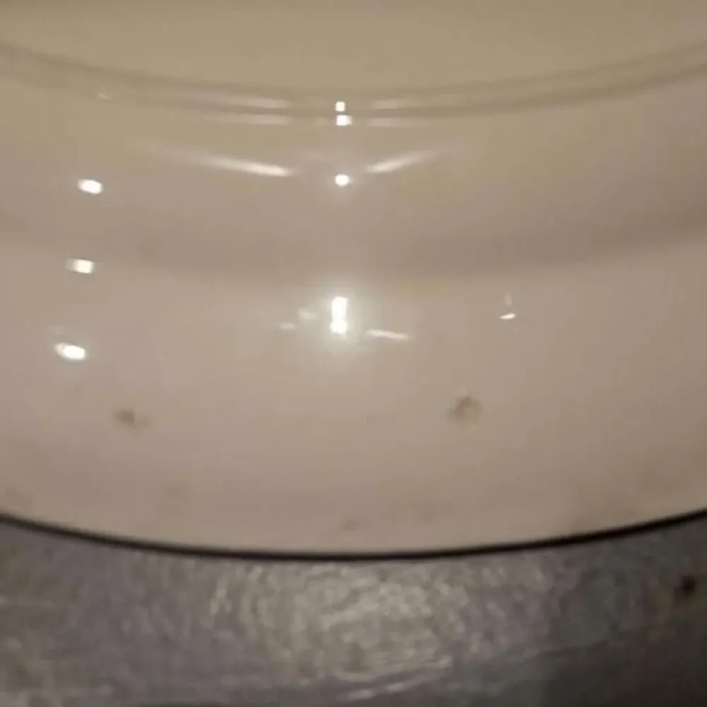 Eggshell Nautilus One chip on bottom Floral Ceramic Oval Serving Platter